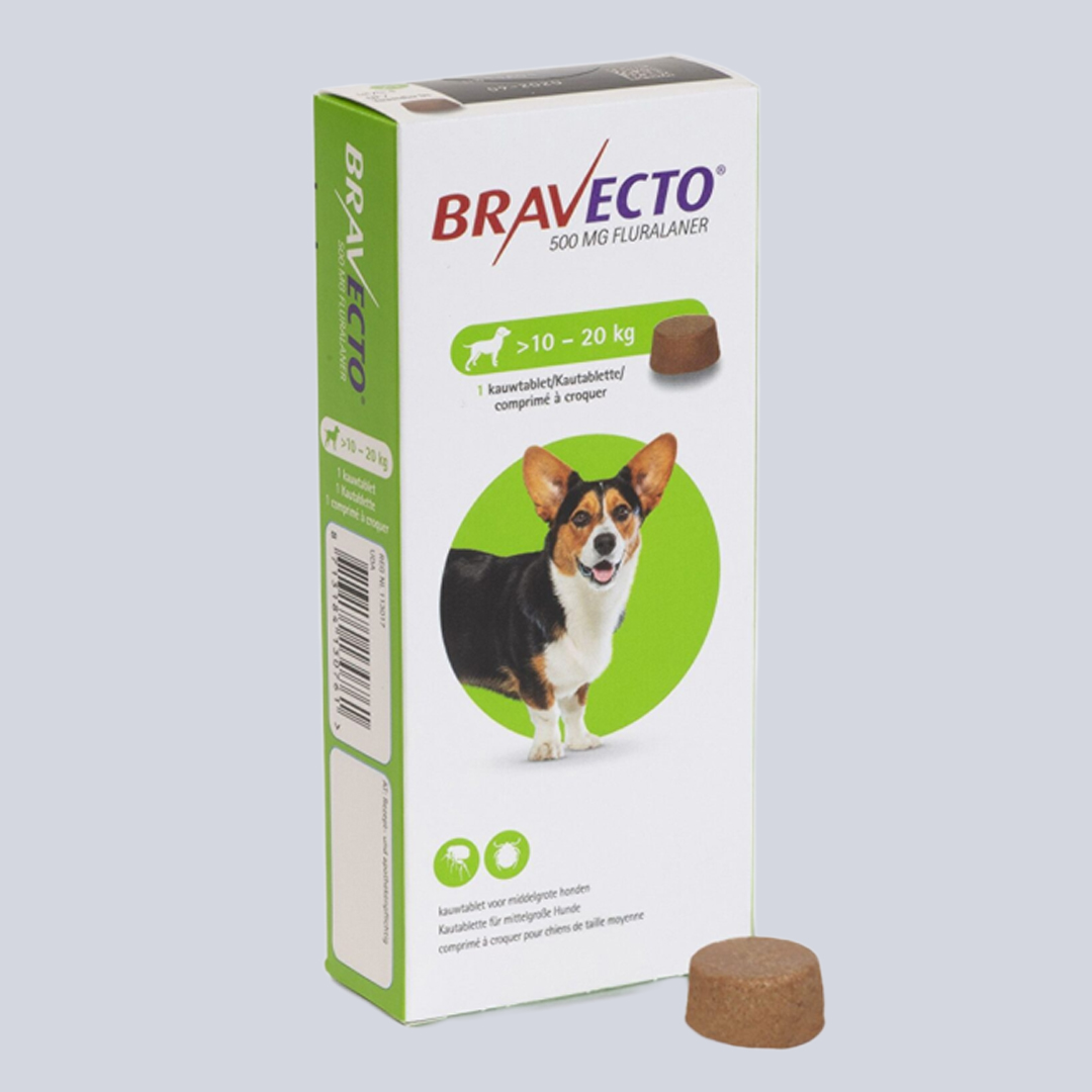 Bravecto 10–20 kg köpekler için iç dış parazit tablet 500 mg