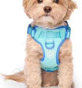 Çekmeli Köpek Tasması, Mavi, XX-Large: 28 ila 41 inç