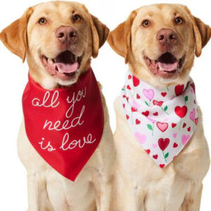 Sandia Sevgililer Günü Çiçekli Kalp ve Tek İhtiyacınız Aşk Köpek ve Kedi Çift Taraflı Bandana, X-Large/XX-Large