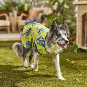 Aloha Palmiye Yaprağı Desenli Köpek ve Kedi Elbisesi, Yeşil, Küçük Boy