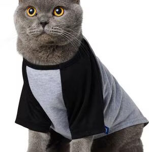 Sandia Beyzbol Köpek ve Kedi Tişörtü, Siyah, Büyük Beden